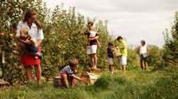Что такое сельский туризм