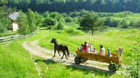 Преимущества и недостатки сельского туризма