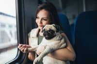 Новость РЖД Готовится К Реформе: Животные Не Покинут Электрички