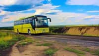 Статья Почему автобусы желтые