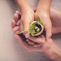 Ответственность на время поездки