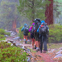 Правила безопасности в походе