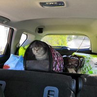 Подготовка автомобиля к поездке